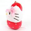 Hello Kitty Mascot Holder Cute Character