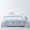 Solid Color Class A Soybean Fiber Quilt, Warm In Winter, Thickened In Winter, Universal In Spring and Autumn