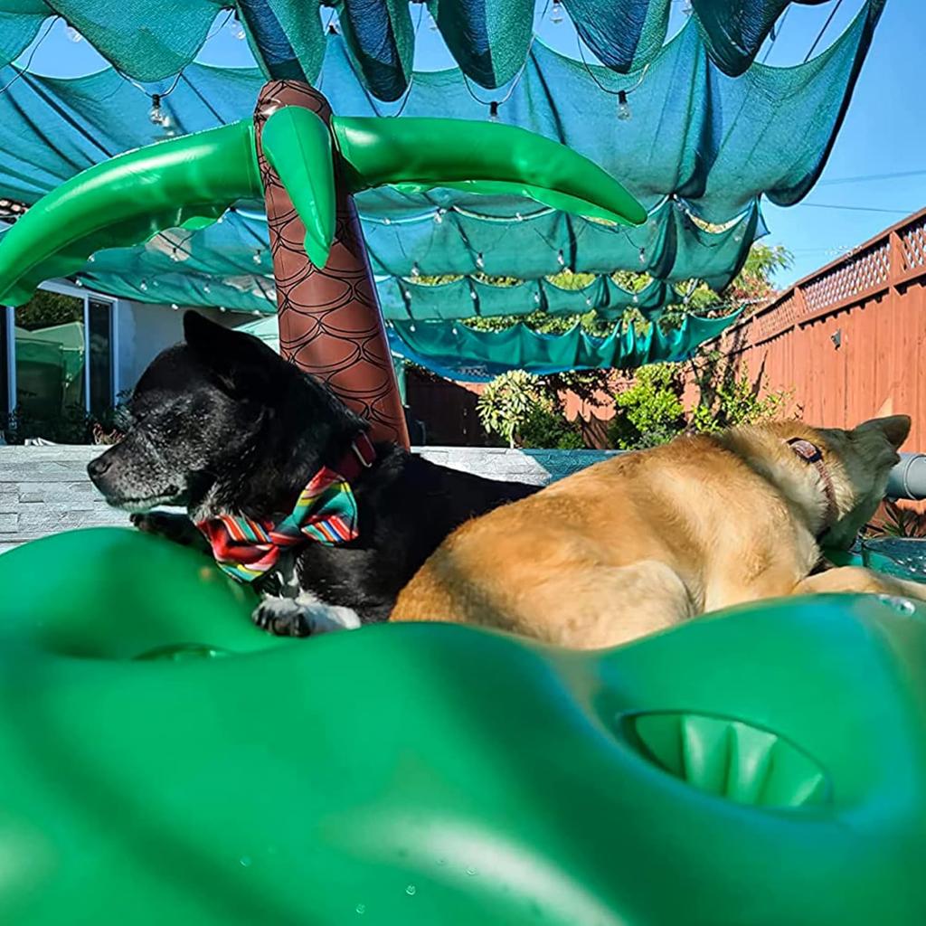 Dog Pool Floats Set, Dog Float Raft with Collapsible Dog Bowl, Non-Toxic Floating Dog Water Toys for Small Dog, Puppy and Doggies, Coconut Tree