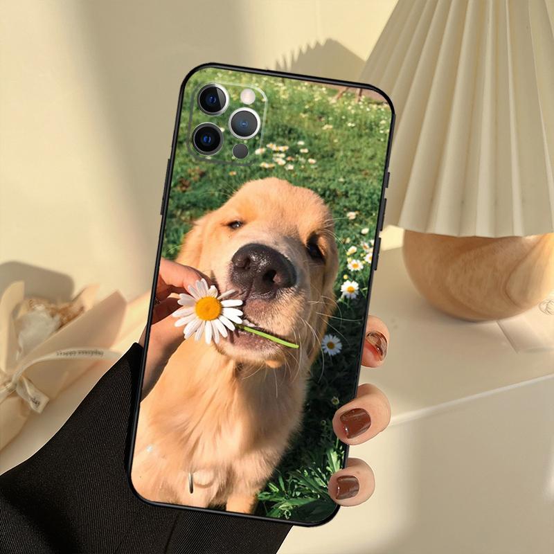 Golden Retriever Friend Phone Case For iPhone 15 14 13 12 11 16 17 Pro Max 13 Mini 15 16 Plus 16e 17 Air Cover Funda