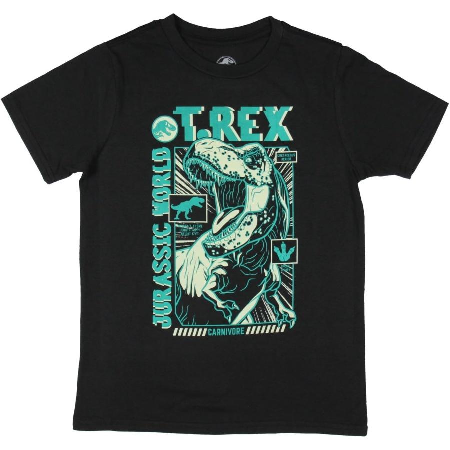 Jurassic World Boys T-Rex Carnivore Dino Design Graphic T-Shirt S
