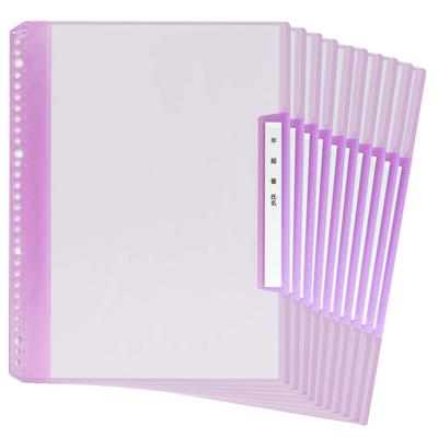 Plus Name Refillable Clear 6 X 10 Books Grade, Class, File, Vertical, Pockets, A4, Purple, 84-822