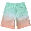 Quiksilver New Wave Volley Youth 16 Boys' Board Shorts, ORG