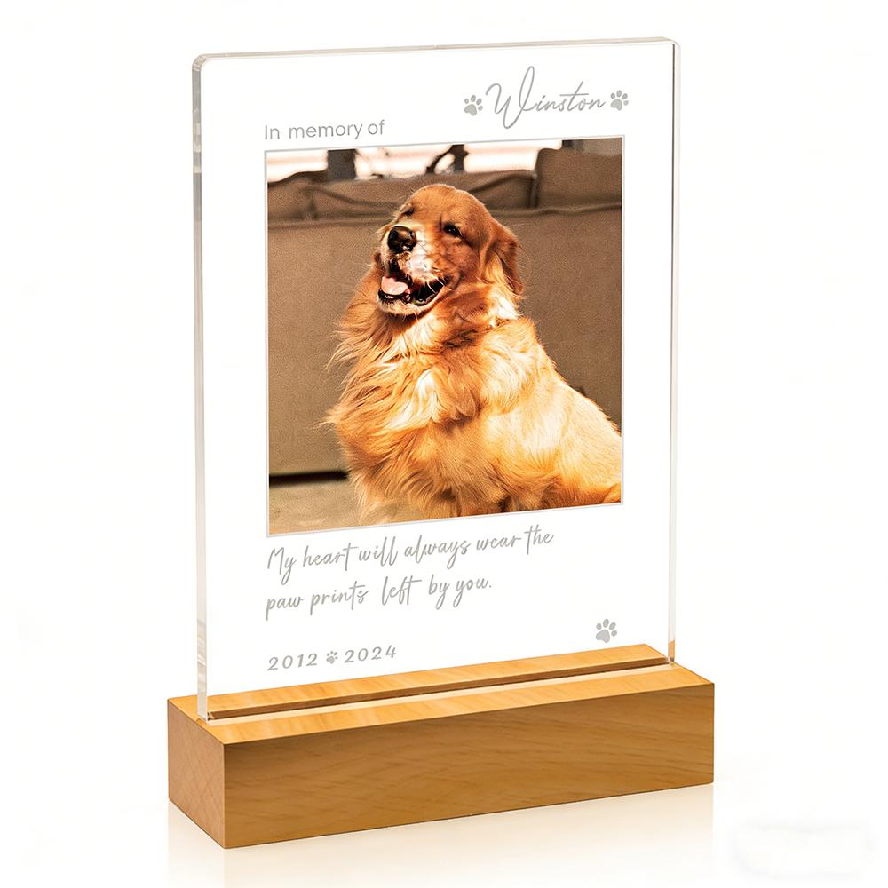 Custom Night Light Pet Memorial Plaque For Dog Cat Personalized Pet Growth Ornament Engrave Pet Info Record Lovely Daily Moment