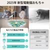 Kasanioo Electric Cat Indoor Rechargeable USB Rechargeable with Motion Cat Toy for Hide and Solo Boredom Relief for Adult Cats and Feather Movement