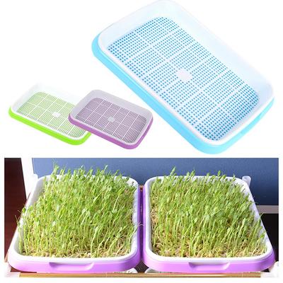 Sprouting Needs Easy To Clean Germination Tray Space-Saving