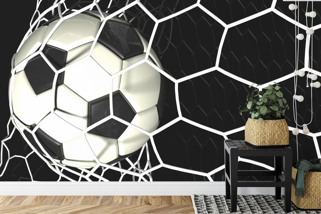 Photomural 3D Soccer Ball In Net Washable Fleece 254x184