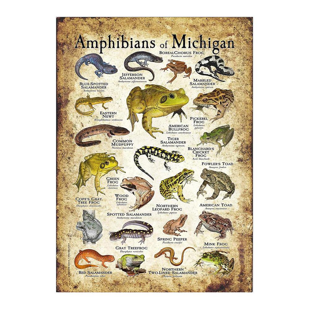 

Abstract HD Print Butterfly Frog Birds Shark Marine Animals Collages Poster Canvas Painting Vintage Wall Art For Kid Bedroom Home Decor 20x30cm