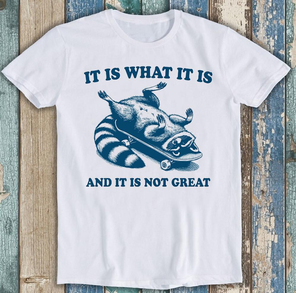 

It is What It is and It s Not Great Raccoon Funny Gift Tee T Shirt 1782 4XL