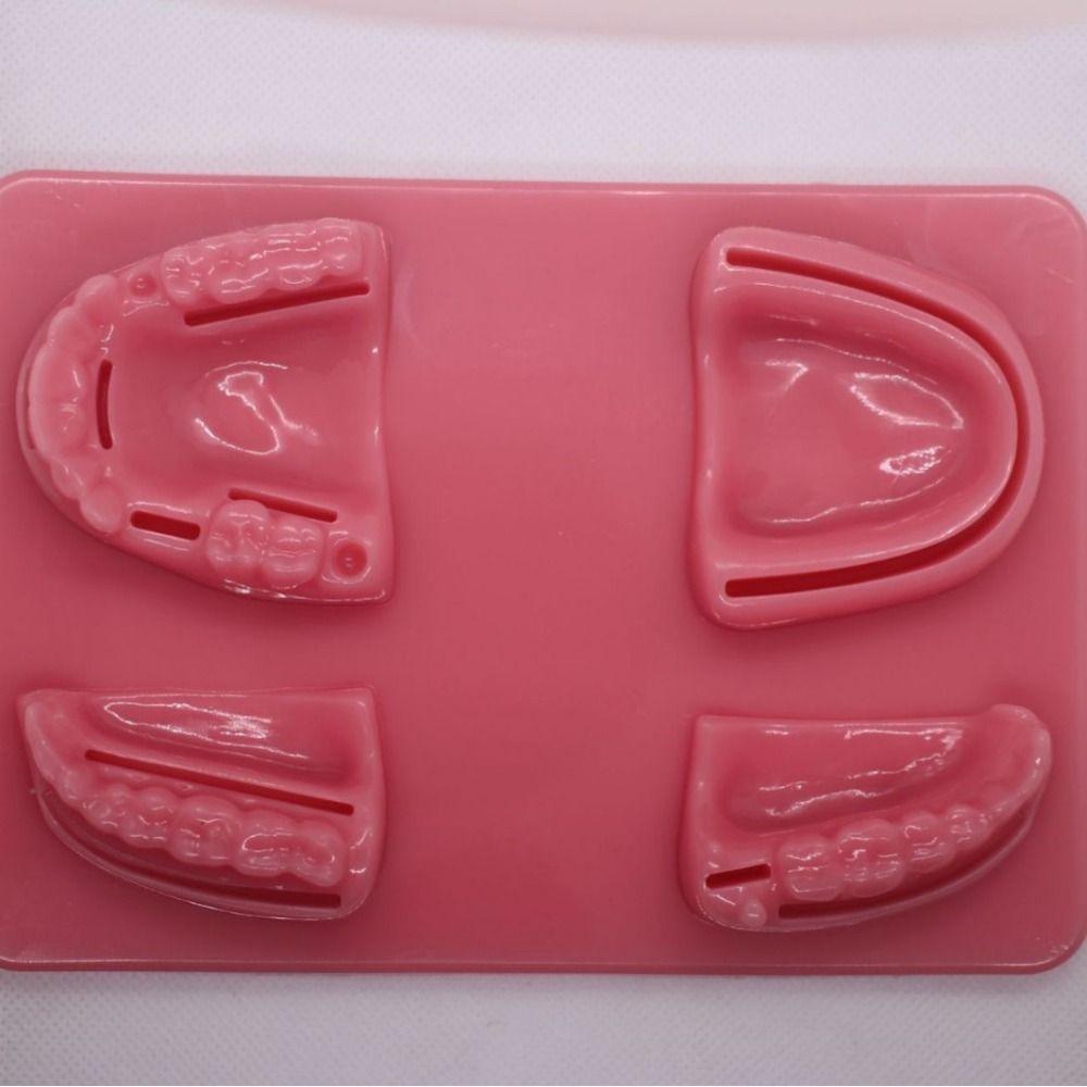 Suturing Practice Dental Teaching Model Gingival Suture Training Model  For Dentisit Teaching