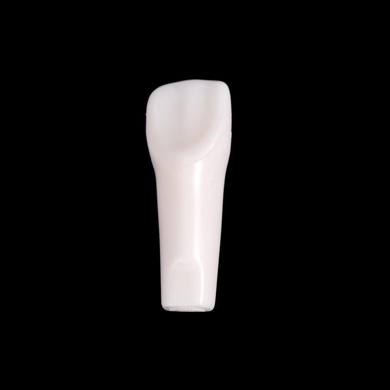 10Pcs Dental Typodont Teeth Model Removable Individual Screw-In Resin Denture Practice Tooth For Dental Studying Training
