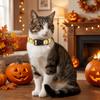 Adjustable Buckle Ghost Pumpkin Pet Collar Decorative Pet Neck Ring  Halloween Party