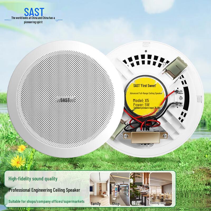 SAST X5 5-inch Commercial In-Ceiling Speaker