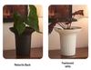 Nordic Style Large Diameter Creative Flower Pot for Phalaenopsis, Spider, and Succulent Plants