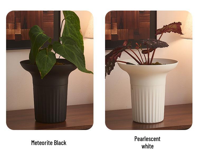 Nordic Style Large Diameter Creative Flower Pot for Phalaenopsis, Spider, and Succulent Plants
