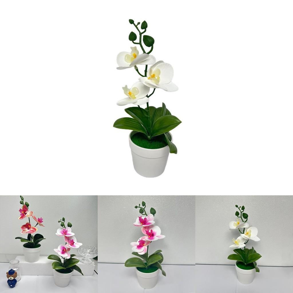 Butterfly Orchid Artificial Flower With Realistic Design For Home Decor And Photography Use