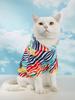 Dog Hoodies Puppy Clothes with Zebra-stripe Printed Sweatshirts for Small Medium Dog Cat Soft and Comfort Shirts Dog Pajamas Out
