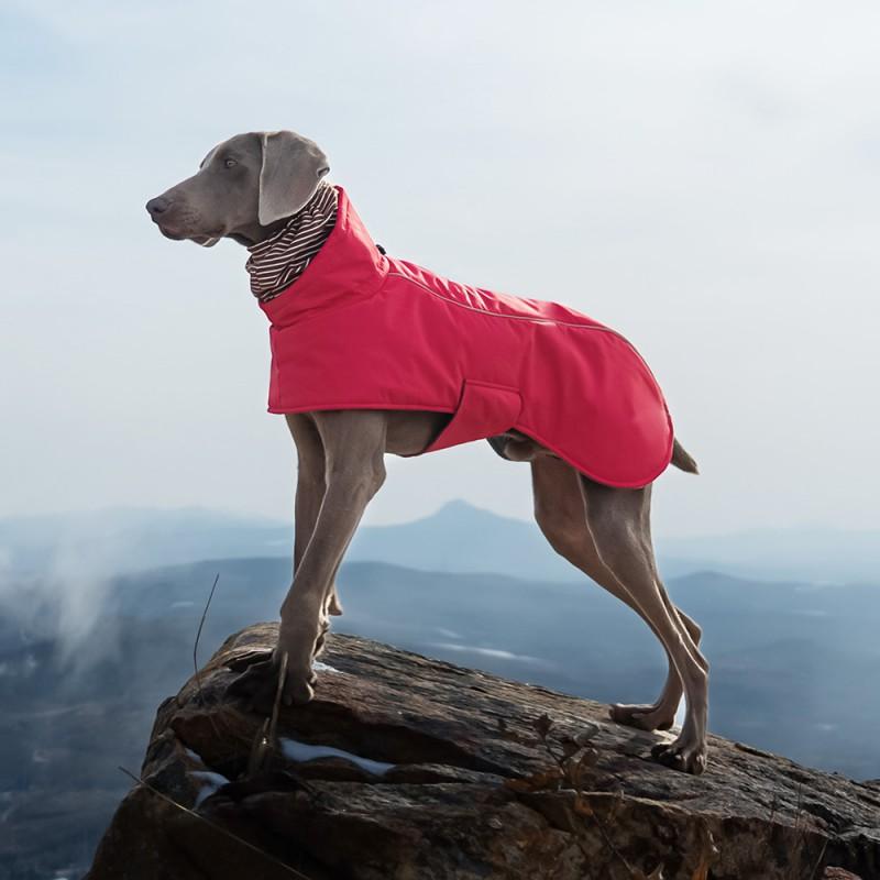 Waterproof Hooded Dog Winter Coat With Cotton Padding Warm Pet Jacket Small To Large Breeds