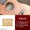 Ukulele Concert 23 Inches Okume Wood Set Convenient for Extra Case Introductory Set for Getting Started Right Ukulele Beginner Set Ukulele Beginner