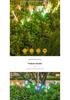 Solar-Powered Fiber Optic Butterfly Garden Lights, Waterproof Outdoor Decoration