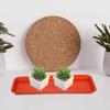 5Pcs Plastic Plant Tray Rectangular Light Brown Shallow Drip Tray for Flowerpot Water Catcher Window Sill Planter Saucer
