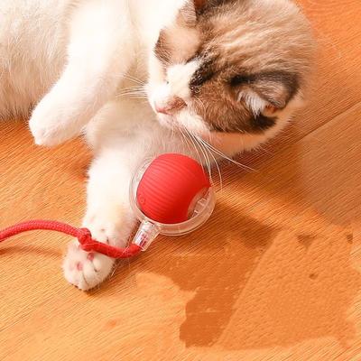 Gatti – Giocattoli per gatti