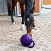 Rubber Equine Chew Jolly Ball 25cm Horse Pony Dogs Soccer Ball Play Toy
