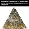 Crystal Pyramid Pyrite Tree Vastu Pyramid for Money Good Luck Prosperity Positivity Fame Vastu Reiki Healing Wealth and Abundance