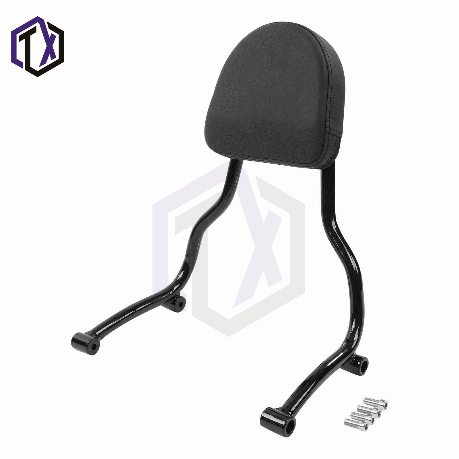 

Мотоциклетная спинка и багажник BMW R18 - Поручень для пассажира, аксессуар для круизера