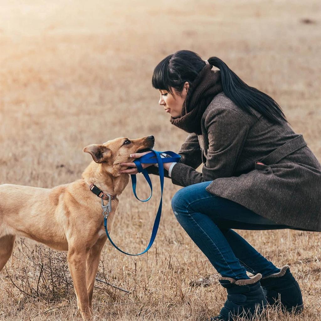 Ahiller Carabiner Keychain with Double Locking 100kg Weight Lightweight and Durable Zinc Alloy Construction for Outdoor and Coating Gray Anti-theft