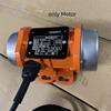Strong Poewr Brushless Motor DC 12V 24V Electric Engine Concrete Vibrator High Frequency Vibrator Eccentric Motor