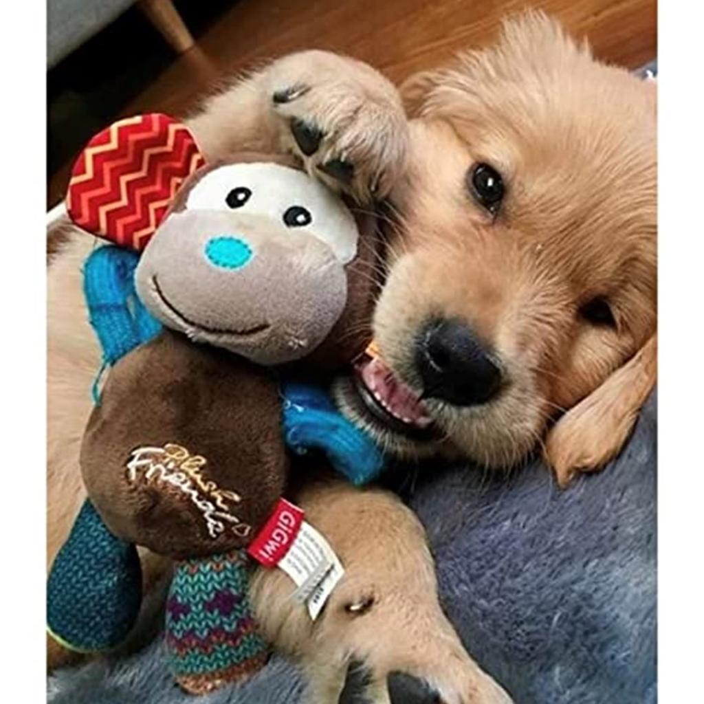 GiGwi Hundespielzeug Hund Plüschtier Freunde Aufgeblasenes Tier Affe