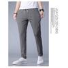Men's Quick-Dry Elastic Silk Trousers - Summer Plus Size Loose Fit Sports Pants