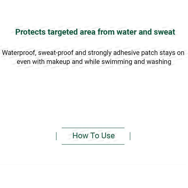 VT - Cica Spot Patch