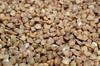 Buckwheat ECO 100g Vegetable Seeds for the Garden, Large Yields