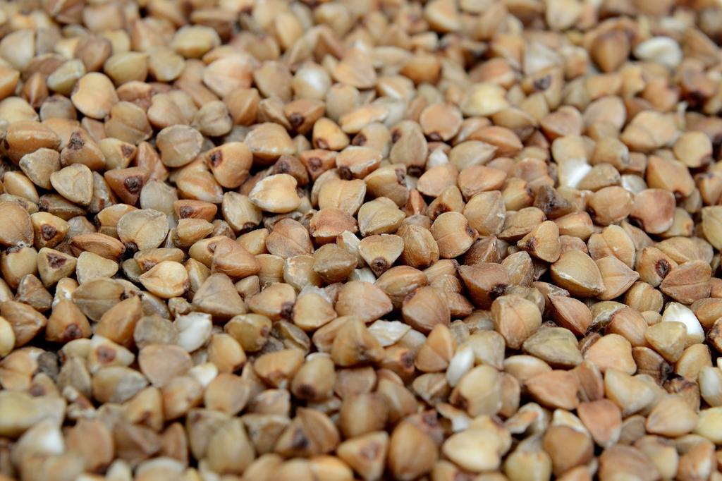 Buckwheat ECO 100g Vegetable Seeds for the Garden, Large Yields