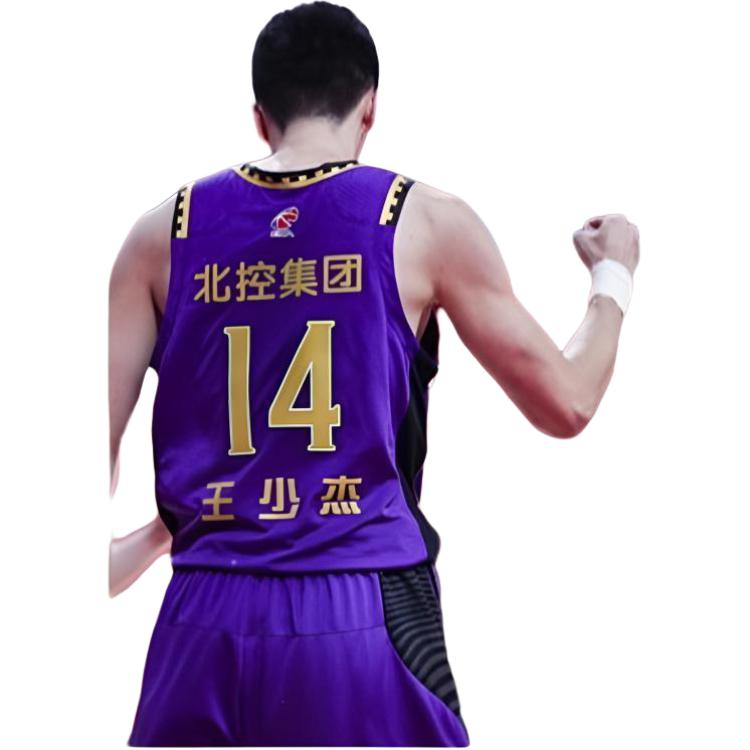 Li Ning Beikong Pánský basketbalový dres Wang Shaojie Potisk loga Bez rukávů Pohodlný Prodyšný Basketbalová vesta Unisex Topy Fialový AAYS559-1