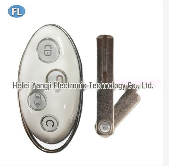 

BYD Egg Card 4-Button 315MHz 46 Chip Key with Manual Unlock Option
