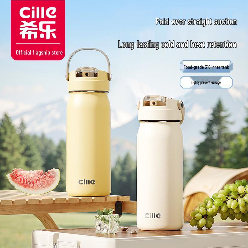 Cille Insulated Sports Water Bottle