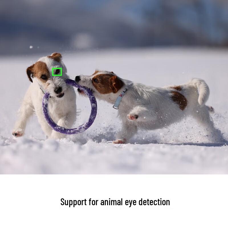 Canon EOS R5 Full-Frame Mirrorless Camera (CN version)