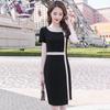 Elegant Women's Summer Professional Dress