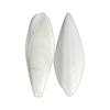20PCS Natural Cuttlefish Bone 3.94-Inch Calcium Source for Pets, Birds, and Reptiles
