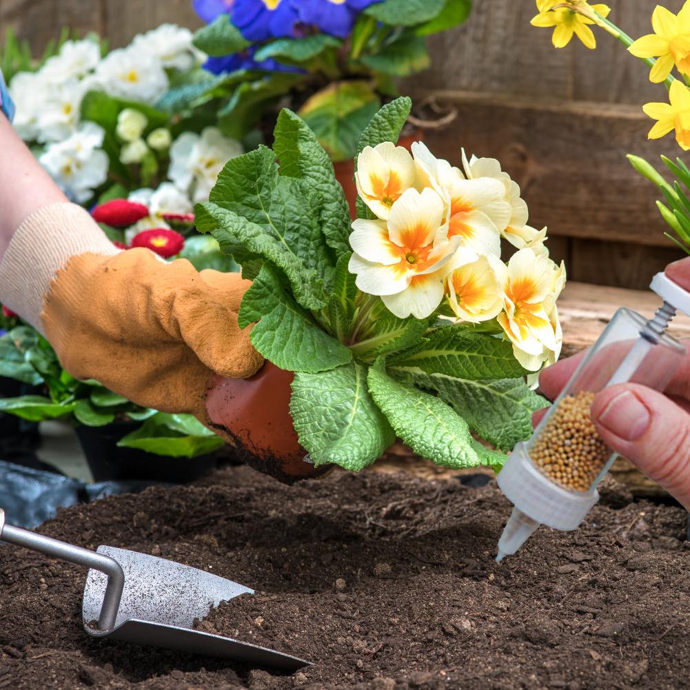 High-end Handheld Seed Dispenser Mini Seeder Needle Cylinder Type Garden Flower Pot Planting Garden Supplies Bonsai Accessories