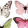 3D Butterfly Wall Stickers DIY Gift 3D Butterfly Wall Decor Wall Decals for Garden Flower Arrangements Wall Living Room Wedding