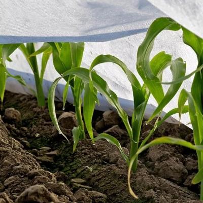 Spring agrotextile white 17g 1.6m x 5m