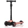 Trotinetes – Trotinetas e scooters de pé