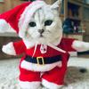 Winter Christmas Santa Claus Pet Costume Funny Cat Clothes for Small Dogs And Cats Xmas New Year Kitty Kitten Outfit