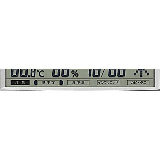 Rhythm Citizen Wall Clock Desk Dual Use Radio-Controlled Temperature Humidity Meter Silver Paldigit Wide