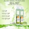 FRUIT OF THE EARTH Aloe Vera Moisture Real Soothing Gel Mist, 1pc, 125ml