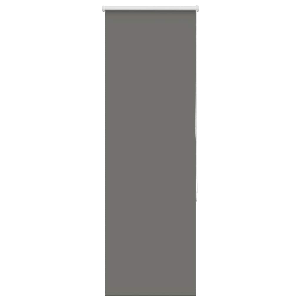 Tenda a Rullo Oscurante Grigia 50x150 cm Larghezza Tessuto 45,7 cm Poliestere